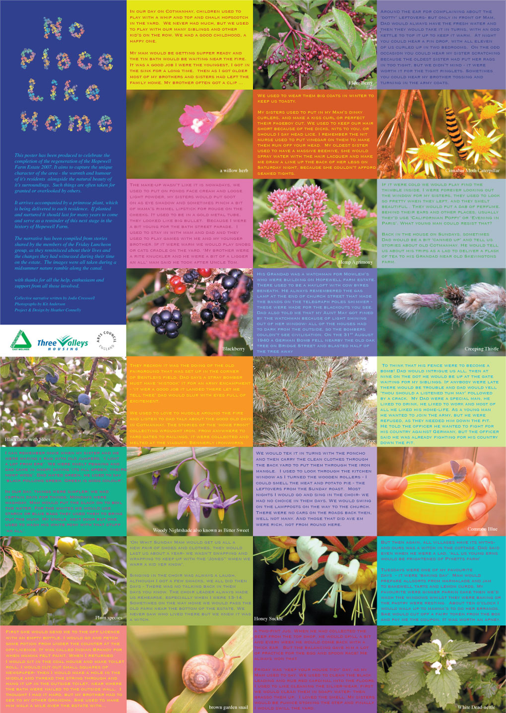 no place like home poster featuring nature photos and collaborative narrative